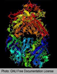 Herceptin Herceptin Treatment Herceptin