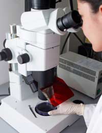 Breast Cancer breast Cancer Gene